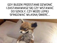 Przestanie dzwonić