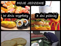 Moje jedzenie