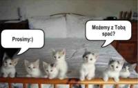 Mogą spać z Tobą?