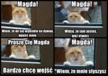 Koteł chce wejść! haha :D