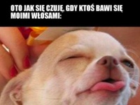 Gdy ktoś się bawi włosami