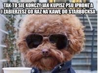 nie kupuj psu iphone'a