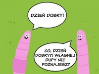 Nie poznał