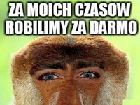 Riposta prawdziwego polaka XD