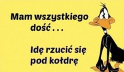 idę się rzucić