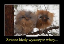 Zawsze keidy wysuszy włosy