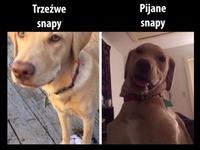 trzeźwe vs pijane snapy