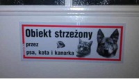 Bój się!