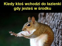 Kiedy ktoś wchodzi