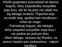 HEHEHE MEGA kawał o kogucie RAMBO ;D