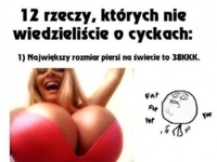 12 faktów o CYCKACH o których nie wiedzieliście! :D