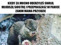 kiedy za mocno uderzyłeś młodszą siostrę