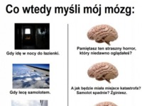 Co myśli mój mózg :D