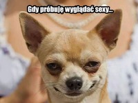 Gdy próbuję wyjść sexy