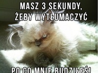 Masz 3 sekundy