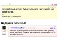 Pyta czy jadł ktos grzyby HALUCYNOGENNE! haha ZOBACZ co mu odpisali na forum! :D