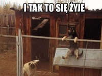 tak się zyje