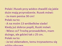 Polak i rusek przy wódce chwalą się jakie maja przyrodzenie! :D