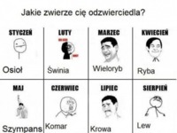 Jakie ZWIERZĘ cię odzwierciedla? Grudzien NAJLEPSZY! :D