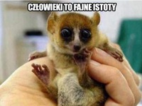 Człowiek to fajne istoty