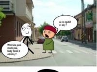 Zgubił się?