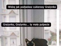 Grażynko Grażynko ty mały pulpecie ;p