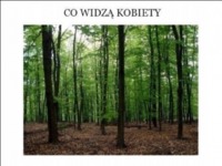 Co widzą KOBIETY vs Co widzą Mężczyźni