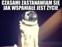 Jak wspaniałe jest życie :D