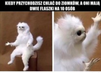 O co chodzi