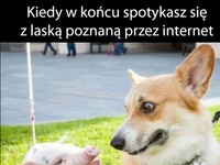 Laska z neta