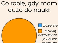 Studencka logika