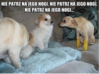 NIE PATRZ NA JEGO NOGI
