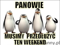 pingwiny