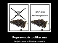 Poprawność polityczna