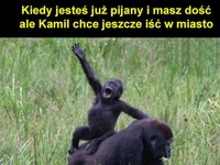 Kamil chce iść