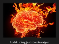 Ludzki mózg jest zdumiewający