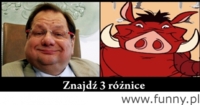 3 roznice