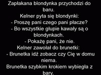 HEHE kawały o blondynkach jednak chyba nigdy nie umrą XD oto dowód!