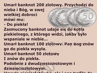 50 groszy zasłużyło na niebo, bo... HAHA DOBRE!