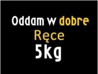 Oddam w dobre ręce 5 KG :)