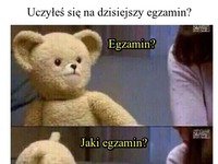 Uczyłeś się na dzisiejszy egzamin? :)