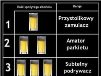 Ilość spożytego alkoholu. ZOBACZ jaka RANGA pasuje do ciebie! :)