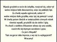 Grzybek w occie, ogóreczek i śledzik spotykają się w żołądku. I nagle dołącza do nich wódka :D