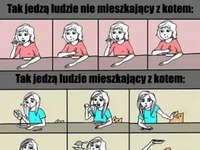 Mieszkanie bez kota i z kotem :D