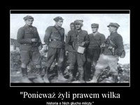 Polski żołnierz