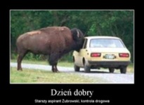 Dzień dobry