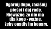 Ogarnij dupę!