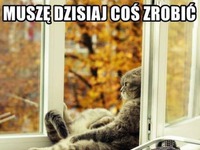 Muszę dzisiaj coś zrobić