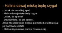 Mąż do żony: "Halina dawaj miskę, bo będę..." Jak to się skończyło? Mega żart ;D