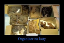 Organizer na koty